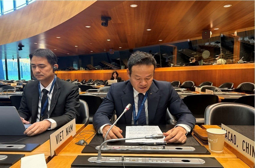 越南常驻WTO代表团团长梅潘勇大使在会上发表讲话。图自越通社