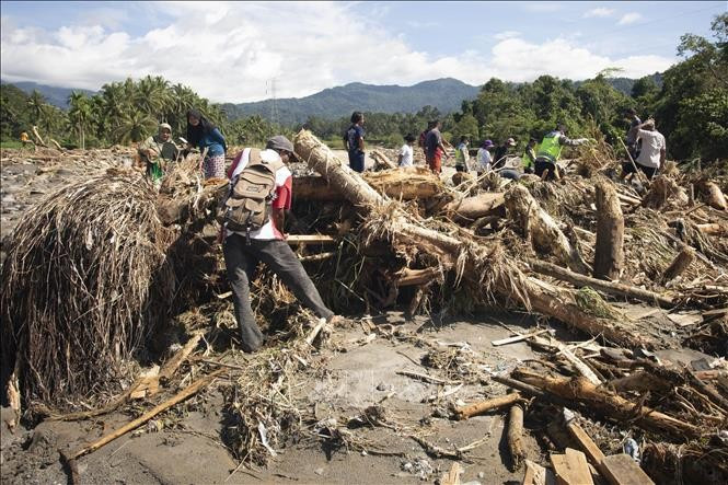 印尼西苏门答腊发生洪水和山体滑坡后，救援力量在现场搜寻遇难者。图自越通社