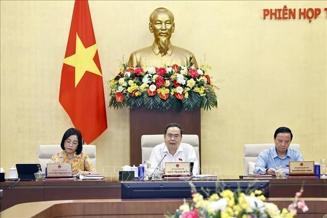 国会主席陈青敏在会上发言。图自越通社