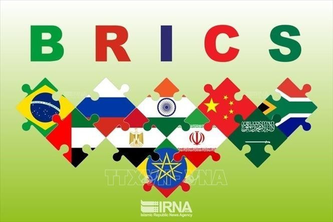 金砖国家国旗。图自越通社