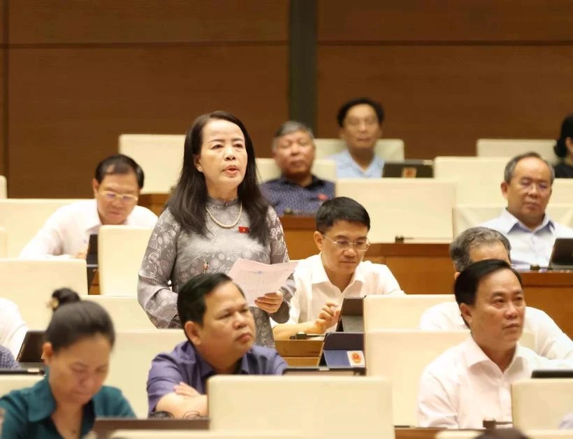 代表们在会上进行讨论。图自越通社