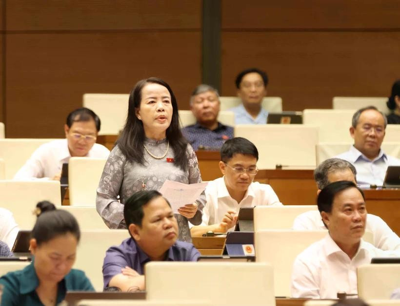 代表们在会上进行讨论。图自越通社