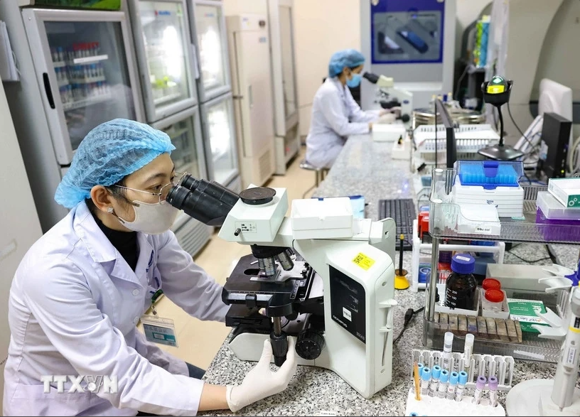 中央内分泌医院的科学研究活动。图自越通社