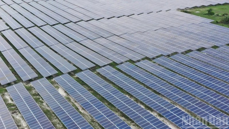 在越南林同省峰富太阳能发电场(Solarcom)安装的太阳能电池板。图自《人民报》