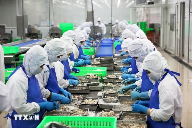 资料图。图自越通社