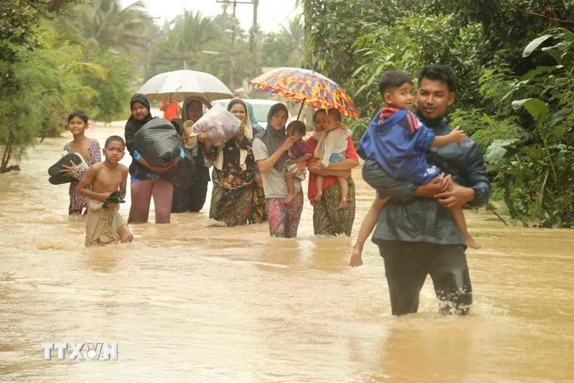 泰国那拉提瓦府遭遇强降雨后被洪水淹没。图自越通社