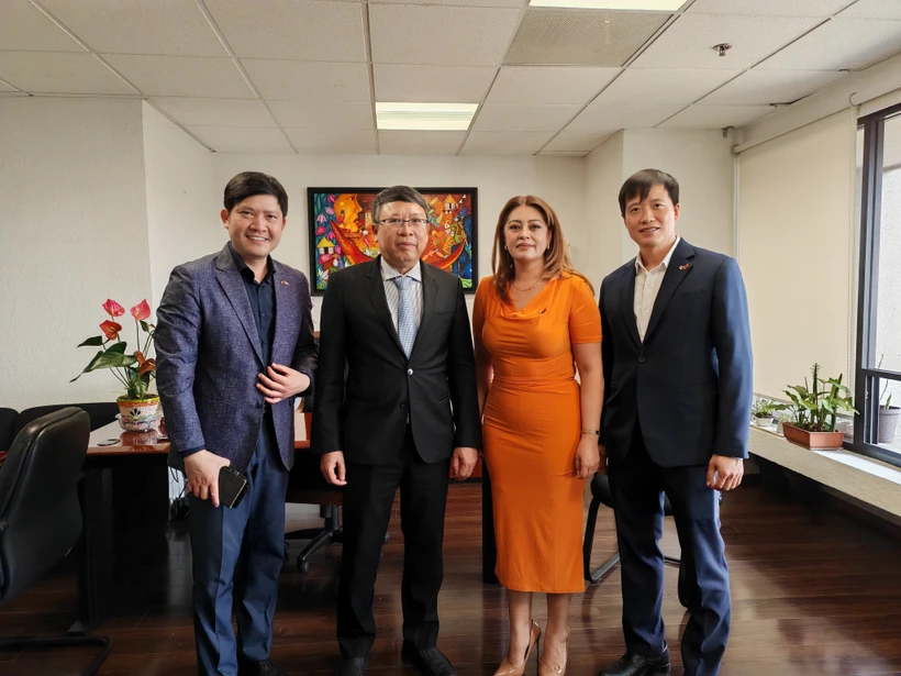 越南驻墨西哥大使阮文海与墨西哥—越南友谊友好小组新任主席安娜·卡琳娜·罗霍·皮门特尔和代表们合影。图自越通社