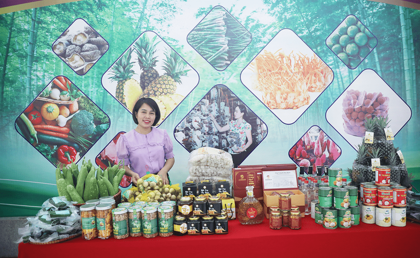 北宁省“一乡一品”产品。图自sanphamthiennhien.vn