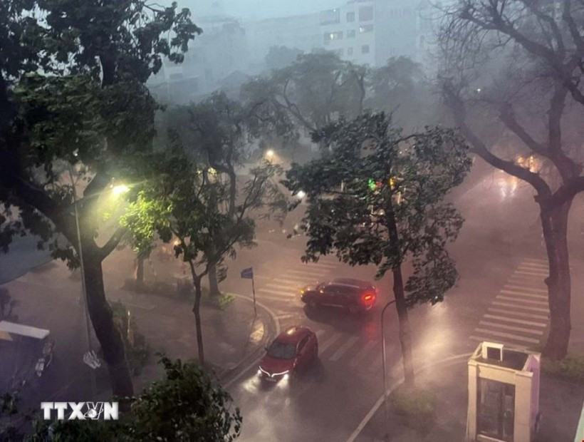 第3号台风导致强降雨，河内多处树木和车辆在街头被吹倒。图自越通社