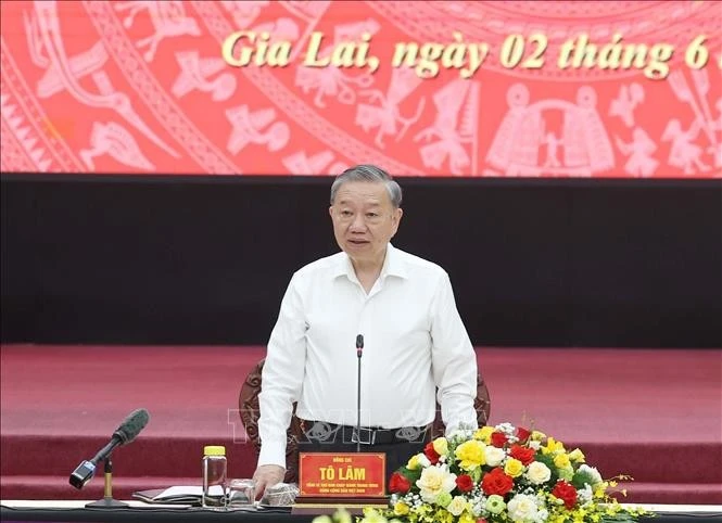 越共中央总书记苏林发表讲话。图自越通社