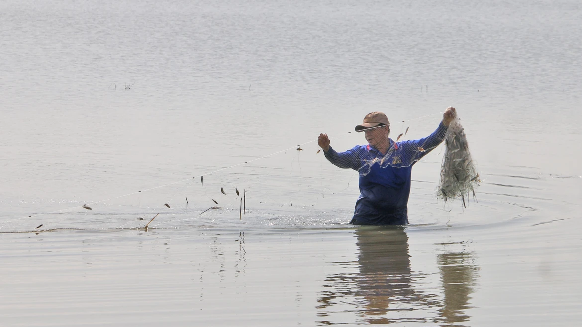 游客和当地居民下田涉水、撒网捕鱼，体验涨水期文化节特有的生活方式。图自 越通社
