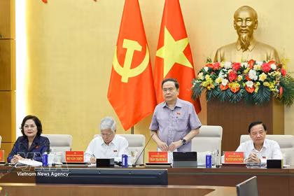 越共中央政治局委员、国会党组书记、国会主席陈青敏在河内主持召开国会代表团团长和党组组长会议。图自越通社