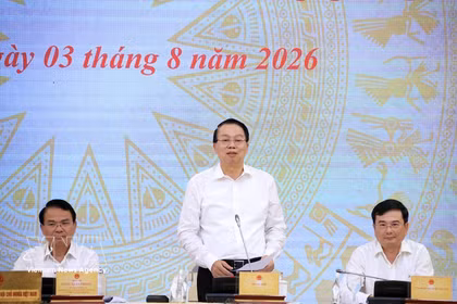 越南财政部副部长阮德芝回答记者提问。图自越通社