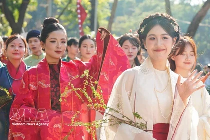 “百花步行”越南服饰文化节2025年11月15日在河内举行。图自越通社