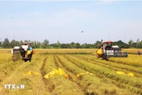 突破性的政策以及紧迫的实施节奏给民众带来了对新生活质量的诸多期望 图自越通社