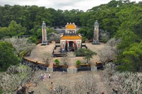 中部遗产在可持续发展之路上焕发新生光彩