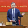 苏林总书记发言。图自越通社