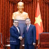 越共中央总书记、国家主席苏林会见巴勒斯坦国大使萨阿迪·萨拉马。图自越通社