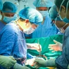 越南成功实施首例多米诺多器官移植手术。图自越通社