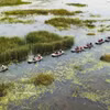 宁平省云龙湿地生态旅游区以其原始、宁静之美和多样化的生态系统而闻名。图自越通社