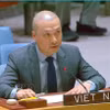越南常驻联合国代表团副代表阮黄元公使。图自越通社