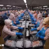 越南-新加坡水产品贸易前景广阔。图自越通社