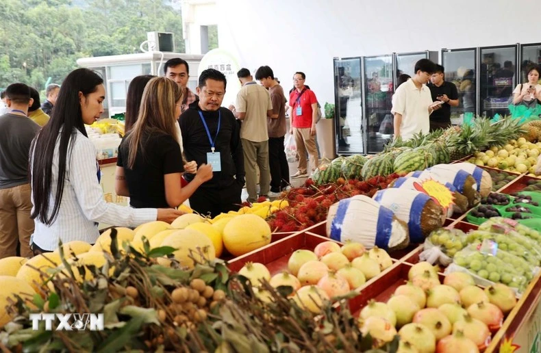 在中国友宜关口岸地区出售多种越南水果。图自越通社