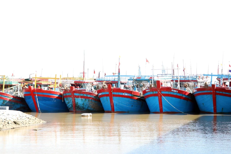 附图：坚决打击IUU捕捞。图自越通社