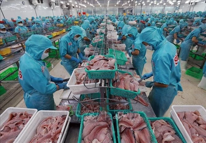 水产品是越南主要出口产品之一。图自越通社