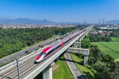 附图。图自thanhnien.vn