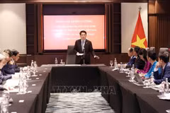 越南国家主席梁强会见越南驻非洲各国大使场景。图自越通社