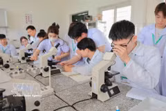 学生利用光学显微镜进行血细胞观察与计数实习，为动物临床诊断提供服务。图片来源：越通社