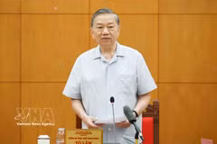 越共中央总书记、国家主席苏林在会议上发表讲话。图片来源：越通社