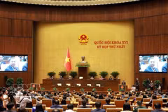 十六届国会首次会议圆满成功 为整个任期开好局、起好步奠定了坚实基础。图片来源：越通社