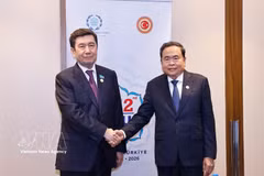 越南国会主席陈青敏会见哈萨克斯坦议会下院议长科沙诺夫。图片来源：越通社