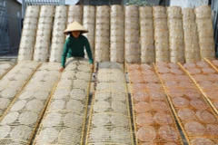 2025年6月底，当地隆重公布了将安义米纸制作业列入国家级非物质文化遗产名录的决定。