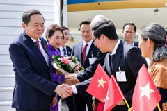 越南驻瑞士大使馆工作人员和旅瑞越南人来到机场迎接陈青敏一行。图自越通社
