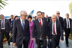 越南国会主席陈青敏与夫人抵达拉巴特，开始对摩洛哥进行正式访问。图为摩洛哥众议院议长阿拉米来到机场迎接陈青敏一行。