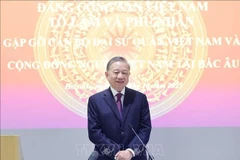 苏林总书记在见面会上发表讲话。图自越通社