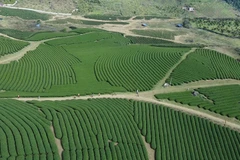 绿色经济与循环经济发展