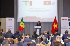 国会主席陈青敏在座谈会上发表讲话。图自越通社