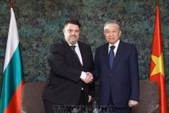 越共中央总书记苏林在首都索非亚会见保加利亚社会党主席阿塔纳斯·扎菲罗夫。图自越通社