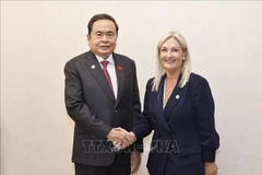 国会主席陈青敏会见爱尔兰众议院议长墨菲。图自越通社