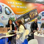 越南成为国际制片人关注的新焦点