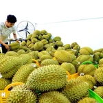 一周要闻：中国要求20类进口农产品须由主管机构出具确认函