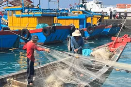 解除IUU黄牌警告：尽快彻底解决存在的不足之处