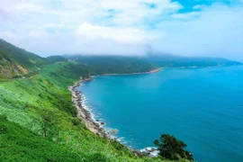 岘港市开发山茶半岛旅游潜力