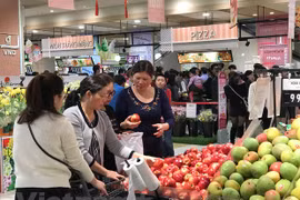 首都河内经济：在融入国际社会进程中实现“大翻身”