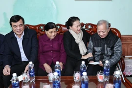 越南国会主席阮氏金银赴广南省考察调研