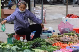 越南2022年上半年居民消费价格指数上涨2.44%